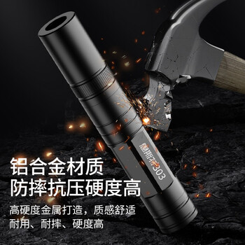 惠斯特303激光笔大功率远射激光灯户外指星笔充电绿光售楼处沙盘专用射笔红外线强光液晶屏专用指示笔