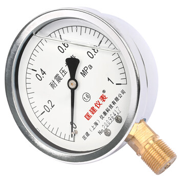 匡建仪表（CONJANT）YTN-100耐震压力表 径向 水压表油压表气压表 表盘直径100mm 充油压力表 0-1MPa