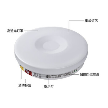 东君 LED消防应急照明吸顶灯 过道走廊楼道照明灯 支持强启 DJ-03A 12W 白光 1箱（20盏装）