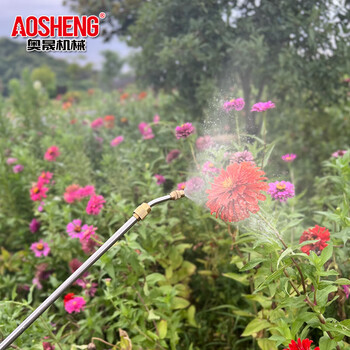 奥晟机械（AOSHENG）5升电动喷雾器酒精消毒农用品农药喷雾机打药壶园艺浇花喷壶锂电背负式打药机5L