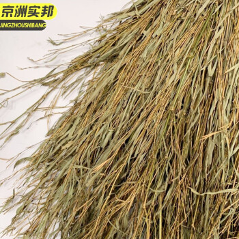  京洲实邦【竹竿扫把】竹扫把大扫帚竹子马路扫庭院子笤帚工厂农村竹扫帚大扫把JZSB-8040