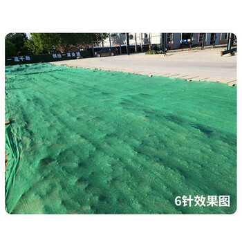 飞尔（FLYER）防尘网遮阳网 遮阴网屋顶汽车棚建筑工地降温网防尘 6针1平方【FLJD200】50平米起批