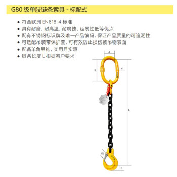 卓引特（ZYT-JOINT）标配式标准型单肢链条索具额定载荷12.5t 链径20mm 有效长度1m起重8X-1A-20-1