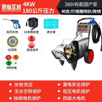 黑猫圣将 商用/工业洗车机 进口AR泵超高压清洗机 380v大功率高压水枪剥树皮打根雕喷砂除锈 HM-1815
