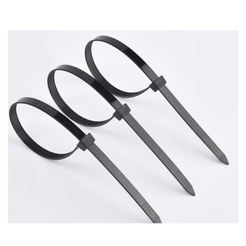 飞尔（FLYER）尼龙扎带 塑料绑带 捆扎带 束线扎线带 黑色 非标 5×250 250条/包【FL057z】两包起批