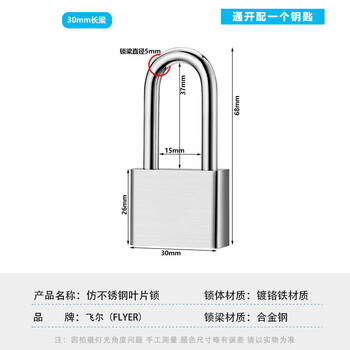 飞尔（FLYER）仿不锈钢叶片锁 户外防水防锈防盗挂锁机箱锁柜门锁【30mm长梁 通开配1个钥匙】10把装