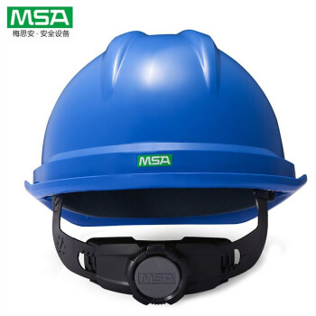 梅思安（MSA）10172516 V-Gard500 PE豪华型安全帽 带透气孔帽衬针织布吸汗带 定做 蓝色 1顶