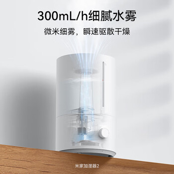 小米 加湿器 卧室轻音家用办公室桌面 迷你空气加湿 银离子材料上加水大容量 MJJSQ06DY