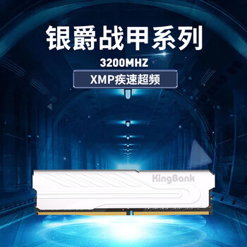 金百达（KINGBANK）32GB(16GBX2)套装 DDR4 3200 台式机内存条 银爵 C16 适配黑神话悟空