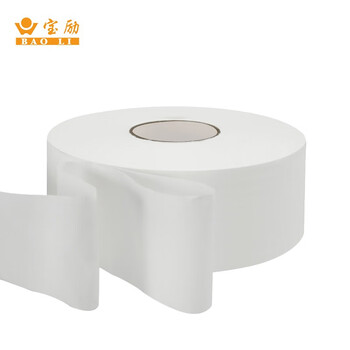 宝励（BAO LI）B-211 750克双层大卷纸  (90mm x120mm/节x750克/卷)x12卷/箱