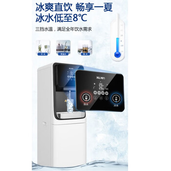 希力（XILI WATER）商用净水器立式直饮机12L一开一直饮一冰 大型净水设备750W可供3-50人 XL-RO75G-LY88
