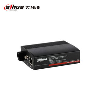 大华二合一防雷器DH-PFM412D-RP（台）