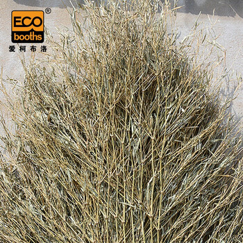 爱柯布洛 竹竿大扫把（1把）户外环卫大号笤帚长2.2m4斤大竹扫把物业建筑清洁笤帚221148