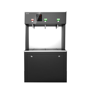 希力（XILI WATER）商用净水器26L一开两直饮 大型净水设备3KW可供50-100人 XL-ZYJ-3W265-1 定制