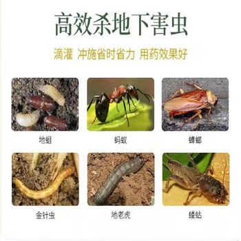 鲸彩蔚蓝  辛硫磷除虫剂 300ml（10瓶起发）