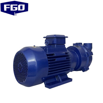 FGO 水环式真空泵 丝扣螺纹 普通电机2BV-2071铸铁整机+不锈钢叶轮3.85kw-2