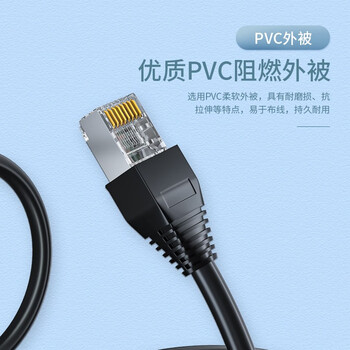 千天（Qantop）CAT5室外无氧铜非屏蔽成品带水晶头网线 10米 QT-W106H