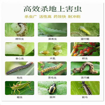 鲸彩蔚蓝  辛硫磷除虫剂 300ml（10瓶起发）