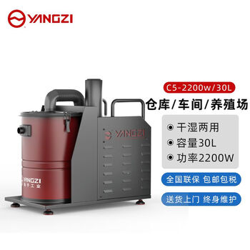 扬子（YANGZI）大功率商用吸尘器大容量工业吸尘器商场会议室除尘器 C5-220/30