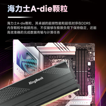 金百达（KINGBANK）32GB(16GBX2)套装 DDR5 6000 台式机内存条海力士A-die颗粒 星刃黑 C28 Deepseek硬件