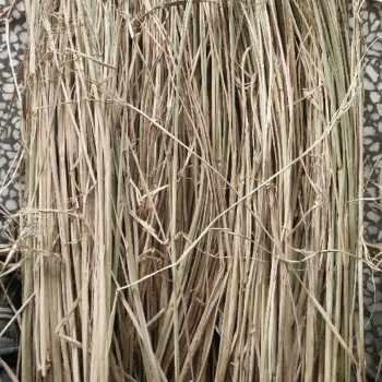 益美得 WYQ0099 防滑草垫大棚护坡草袋防冻保温草垫子稻草帘子 原始稻草1捆