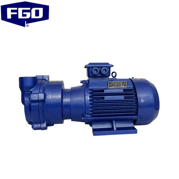 FGO 水环式真空泵 丝扣螺纹 普通电机2BV-2071铸铁整机+不锈钢叶轮3.85kw-2