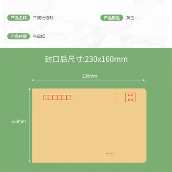 飞尔（FLYER）牛皮纸信封信纸 邮局信工资袋增值税发票专用信封袋【黄色 230x160mm】1000个装