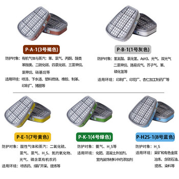 普达防毒面具 MJ-4009全面罩配P-H2S-1(8号)滤盒七件套 有色金属采矿