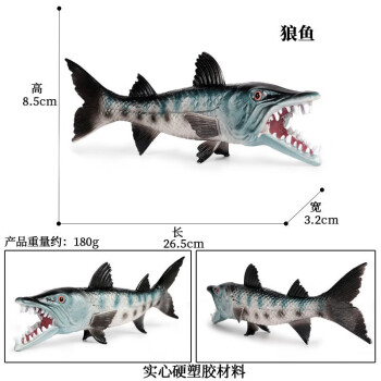Oenux玩具鱼认物儿童假鱼仿真海洋淡水鱼模型动物三文食人金枪咸鱼水母 M-1335狼鱼