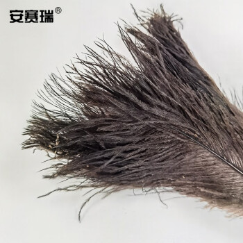 安赛瑞 鸵鸟毛掸子 除尘掸子 清洁掸子 车用扫灰清洁工具 中号 710682