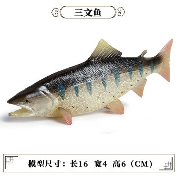 Oenux玩具鱼认物儿童假鱼仿真海洋淡水鱼模型动物三文食人金枪咸鱼水母 M-1155三文鱼