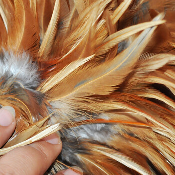 兰诗（LAUTEE）JMD-008A 酒店物业清洁鸡毛掸 除尘掸 实木手柄大号