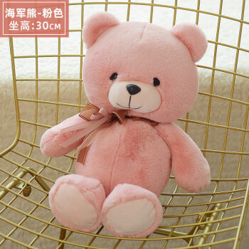 毛绒玩具女孩小号泰迪熊公仔可爱小熊布娃娃儿童玩具粉色抱抱熊毛毛熊