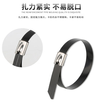 飞尔（FLYER）不锈钢扎带 黑色自锁式 束线带 金属钢带 100根/包【5.6×200MM】