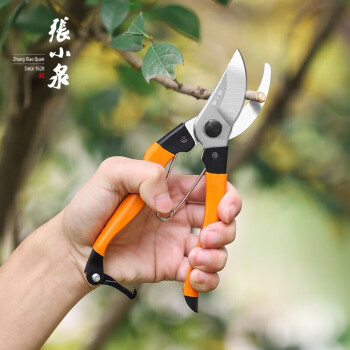 张小泉 园林剪果树修枝剪刀园艺剪园林省力修花枝剪强力剪子ZH-301