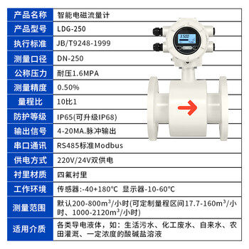 匡建仪表（CONJANT）LDG型一体式电磁流量计 高精度电子传感器数显水流量表白色款 四氟衬里DN250