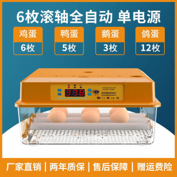 二队孵化器全自动小型家用多功能智能小鸡孵化机孵蛋器6枚单电智能款