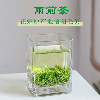 文新绿茶品道信阳毛尖特级240g2024年雨前礼盒装新茶上市