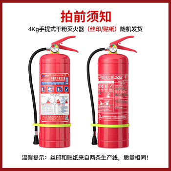 绿消 灭火器 干粉灭火器 消防器材灭火器套装 4公斤干粉灭火器2具+灭火器箱组合 加强款