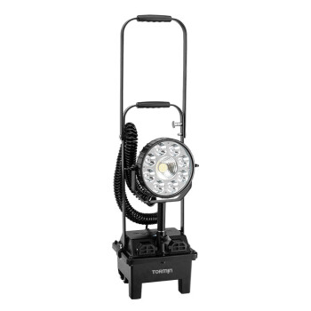 通明电器 TORMIN BW3210 防爆强光工作灯 30W 255*250*610mm