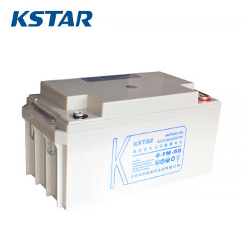 科士达（KSTAR)12V65AH固定性密封免维护蓄电池6-FM-65适用于UPS不间断电源