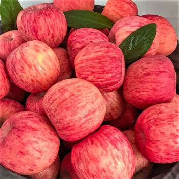 【京鲜速运】烟台红富士苹果栖霞水果脆甜新鲜冰糖心整箱 10斤特级果