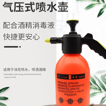 保拉(Paola) 2.0L加厚喷壶 花卉植物浇水壶浇花洒水壶园艺浇消毒喷壶酒精小喷壶2092