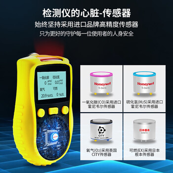 元特 便携式扩散式气体检测仪 气体浓度探测器 C2H2高性能0-100%LEL、5%Vol 催化燃烧 
