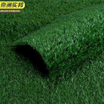 京洲实邦 1.5cm军绿色薄款 仿真草坪人工塑料假草皮装饰地毯一平方单价JZSB-9056