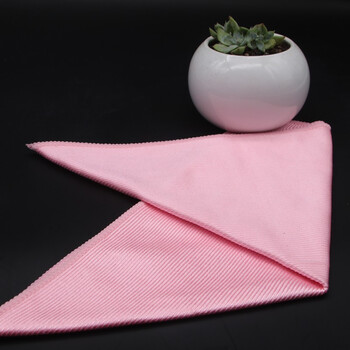 星工（XINGGONG）无尘擦拭布 食品厂无尘车间洁净抹布 干湿两用 不掉毛 30*30红色*1条