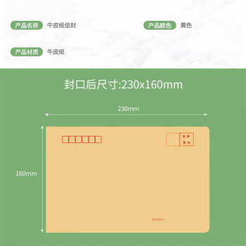 飞尔（FLYER）牛皮纸信封信纸 邮局信工资袋增值税发票专用信封袋【黄色 230x160mm】500个装