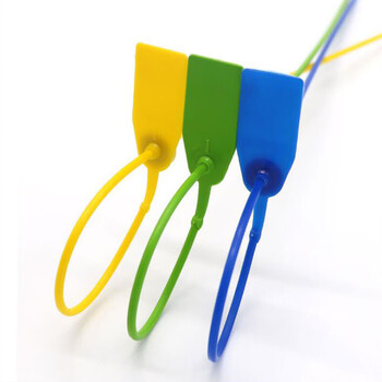 飞尔（FLYER）一次性塑料保密封签 银行塑料锁扣 70cm 500个【FLb151】