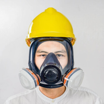 求同2800防毒口罩全面具防护面罩防有机蒸气面罩喷漆防毒面具套装