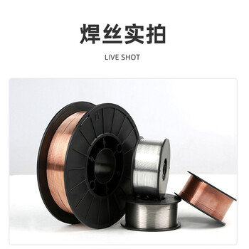 瑞凌气保焊丝二氧化碳气体保护焊丝实心无气自保药芯二保焊丝铝镁【自保药芯焊丝0.8mm】1KG